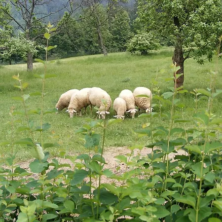 Roubenka Na Palenem Domek letniskowy Valašská Bystřice