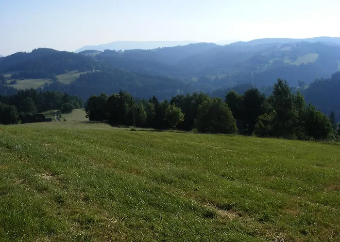 Roubenka Na Palenem