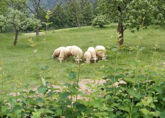 Roubenka Na Palenem Jaktstuga Valašská Bystřice