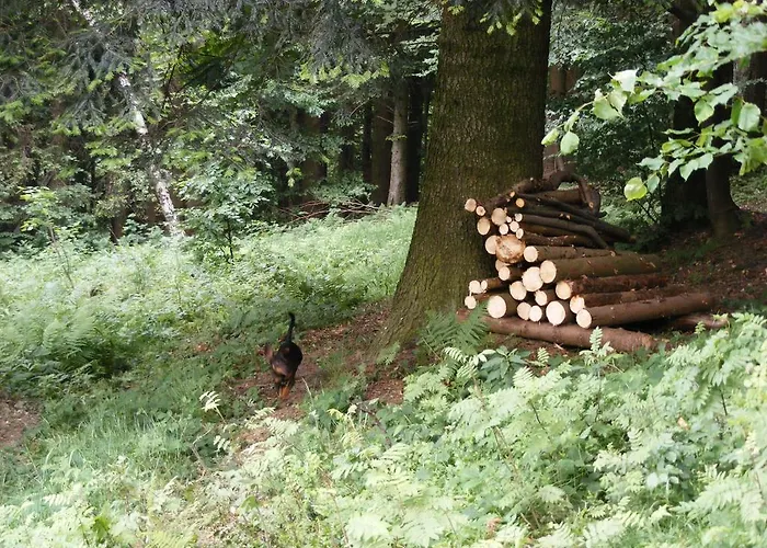 Roubenka Na Palenem * Valašská Bystřice